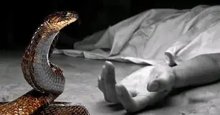 সাতক্ষীরায় সাপের কামড়ে কিশোরীর মৃত্যু; অ্যান্টিভেনম সংকটের অভিযোগ